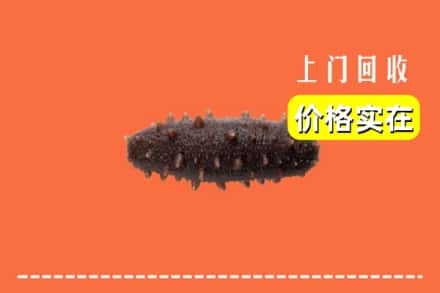 收购资讯:琼结县回收海参